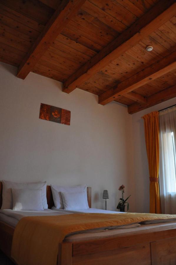 Vila Sara/Adult Only Szováta Kültér fotó